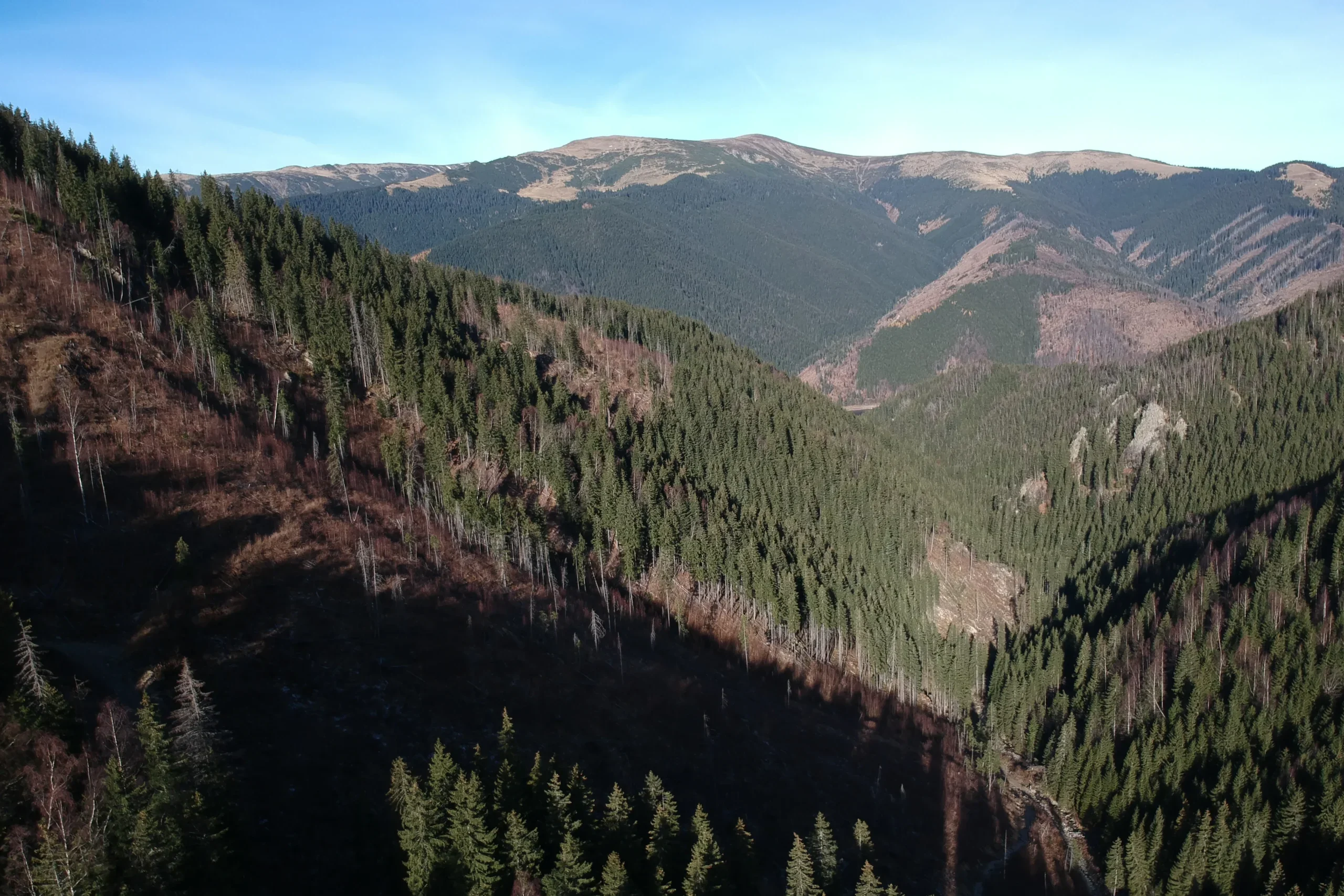 DJI_0273