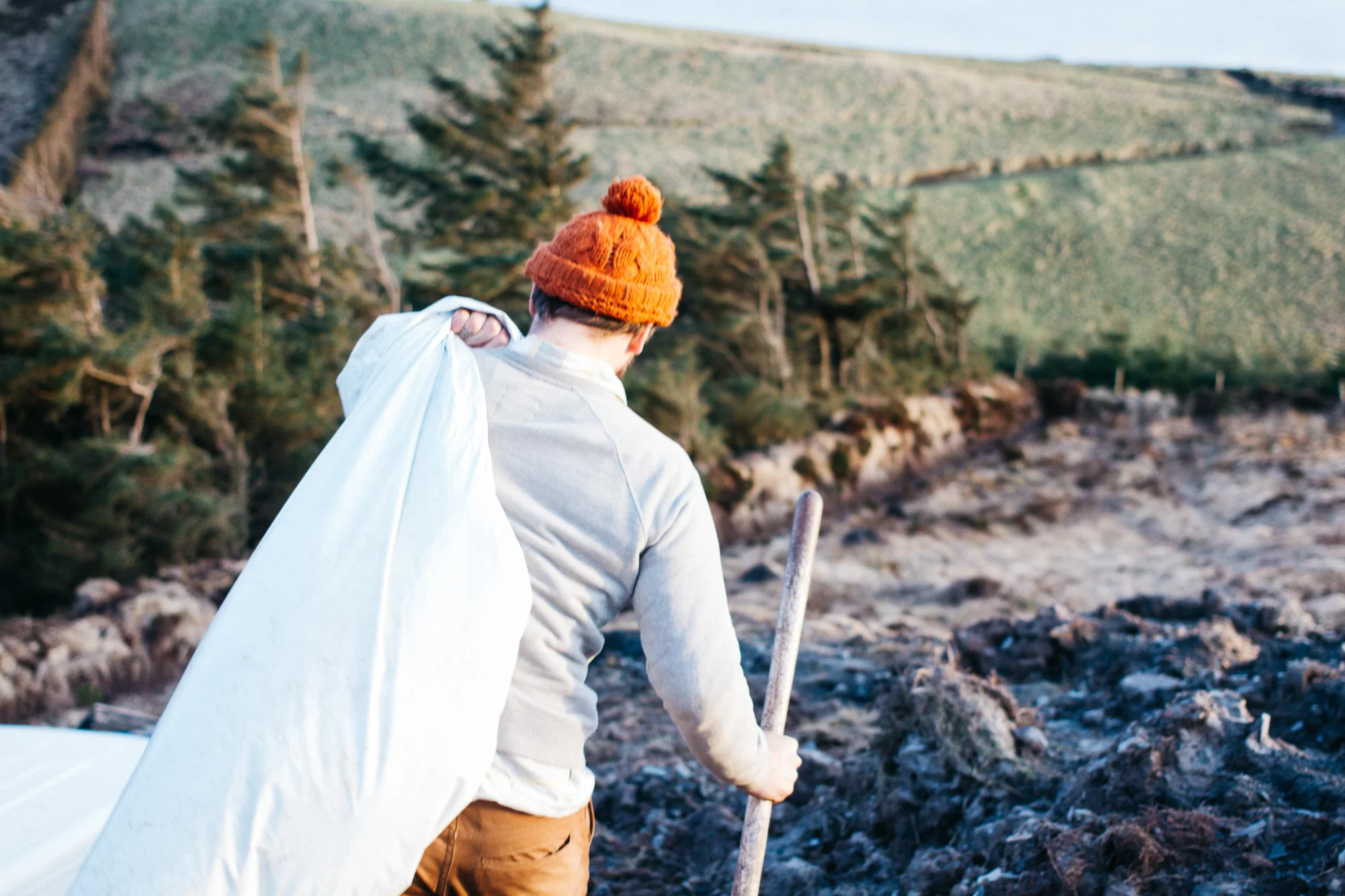 PlantingWinter